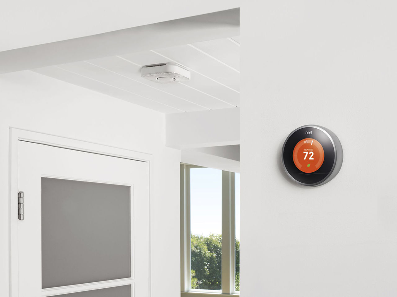 Nest kommer till Sverige