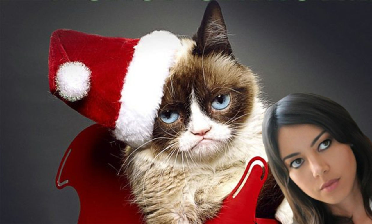 Aubrey Plaza är rösten för Grumpy Cat