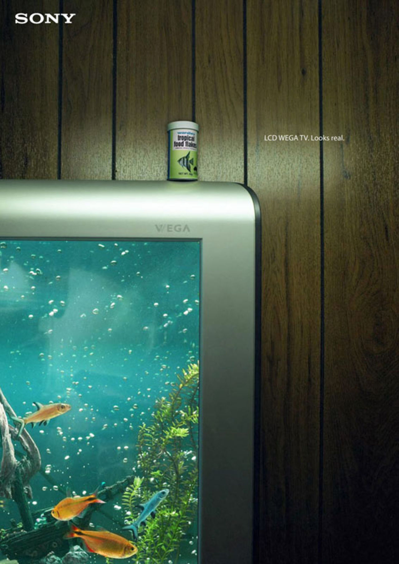 Sony Wega