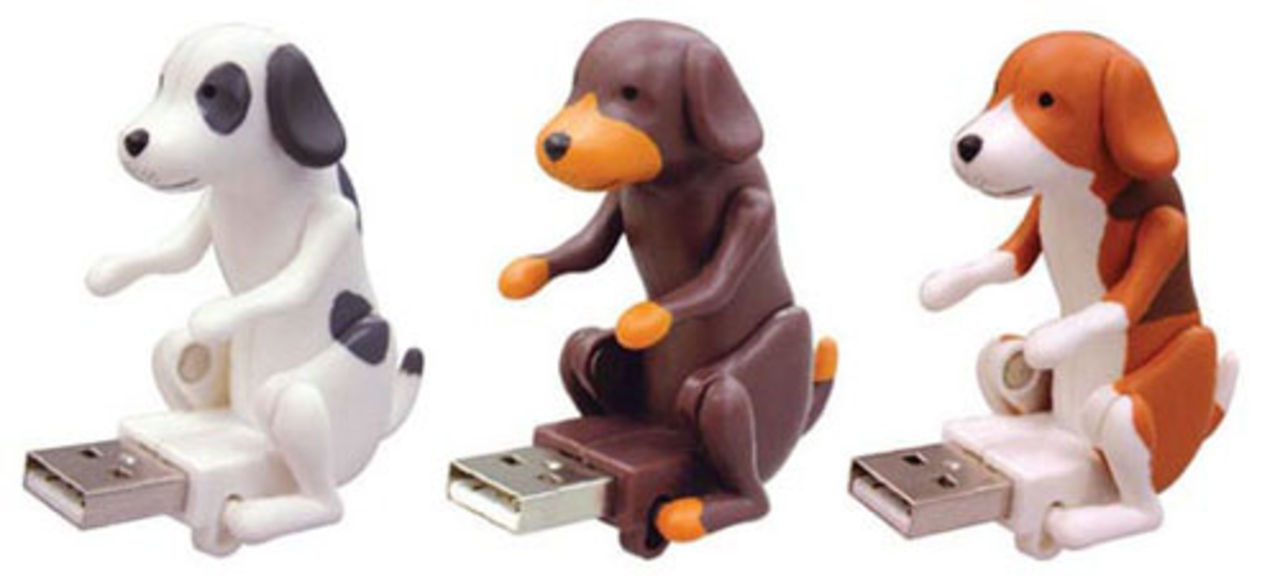 Juckande hund som USB-tillbehör