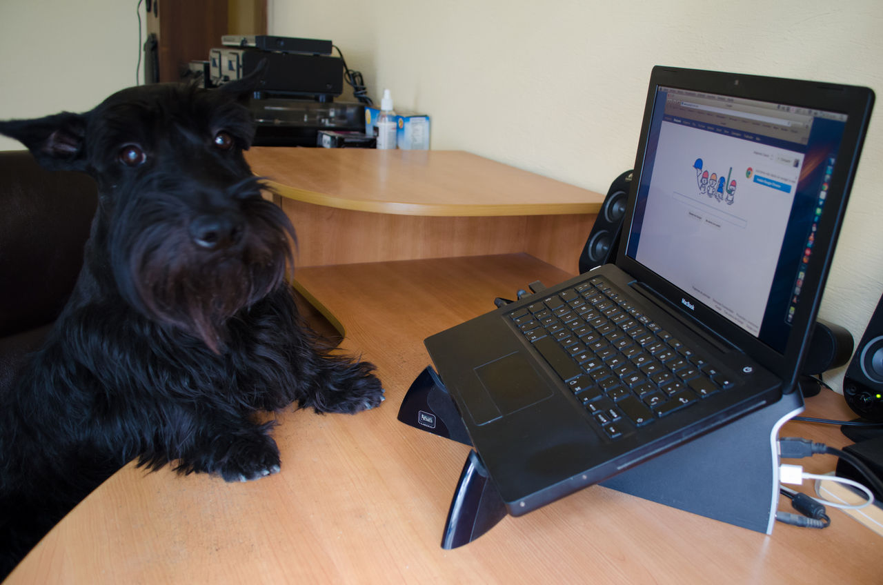 Mycket kontorsarbete leder till fetma