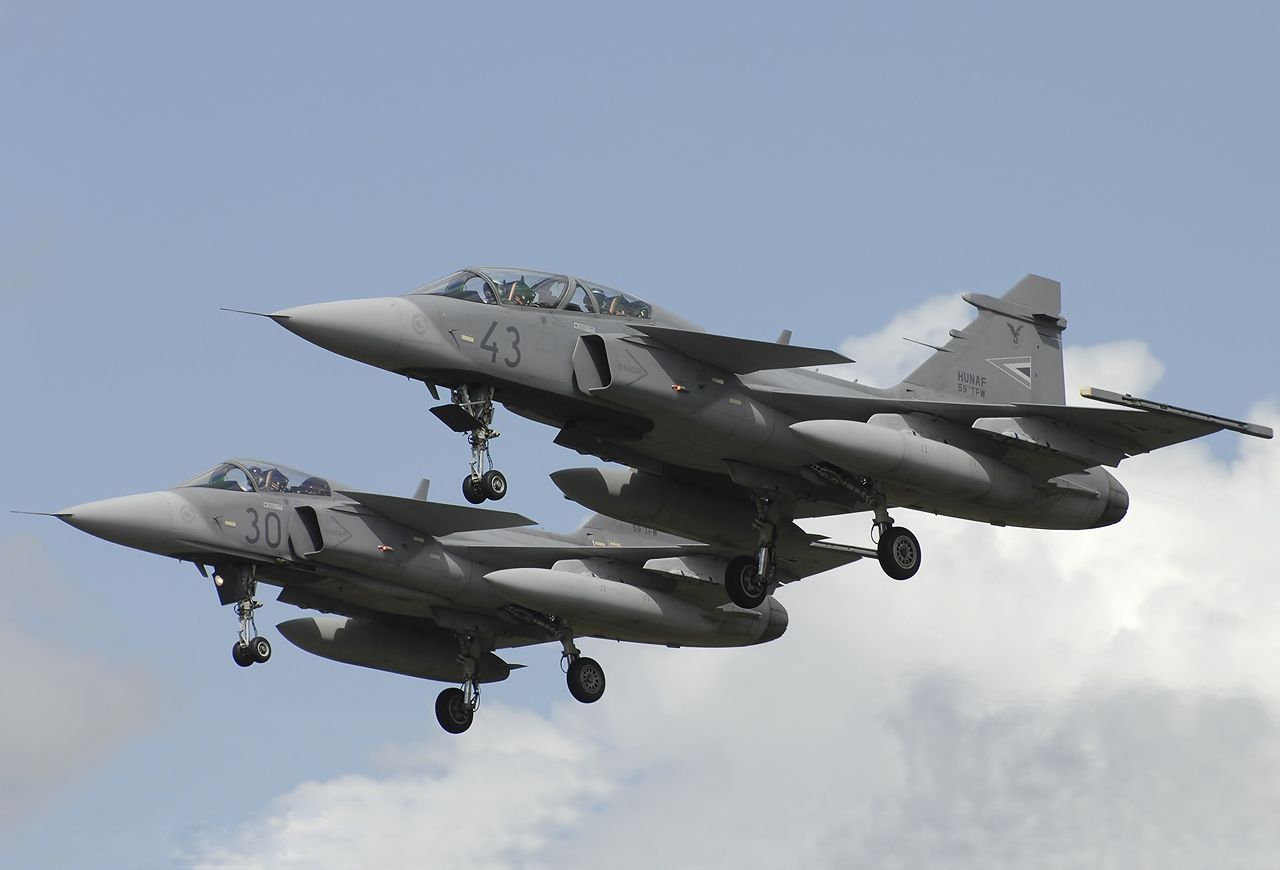 JAS-plan ansvarig för över 3 500 minkars död