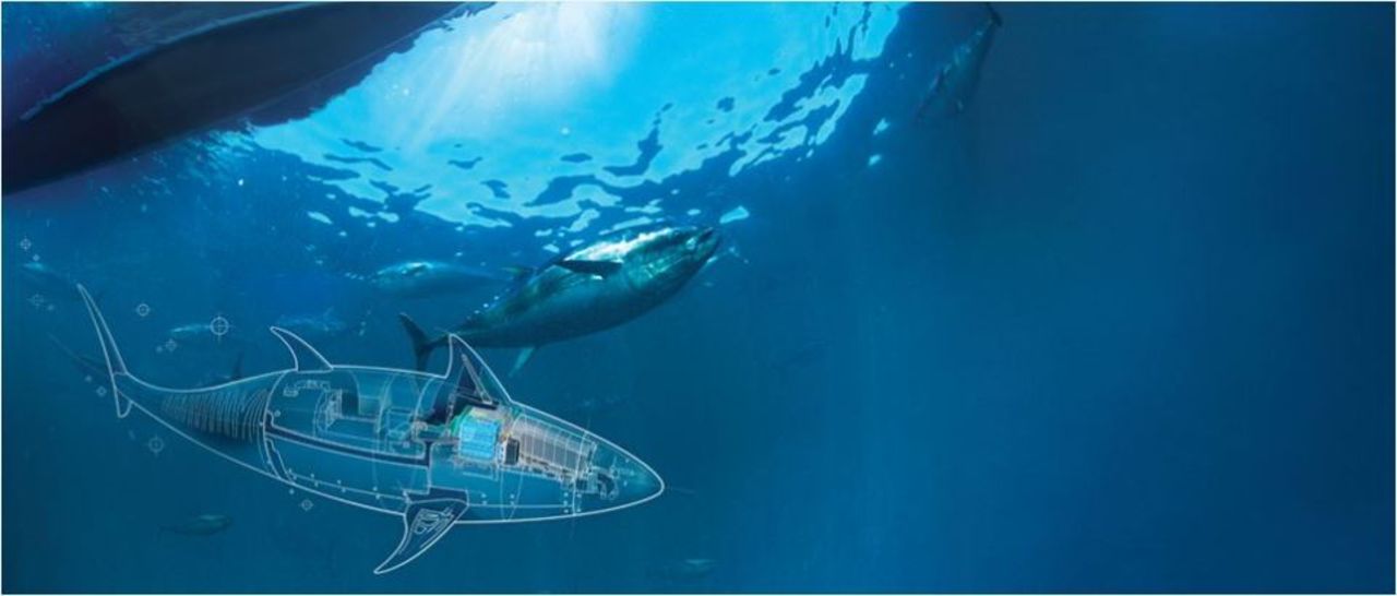 Amerikanska armén utvecklar en robot-tonfisk