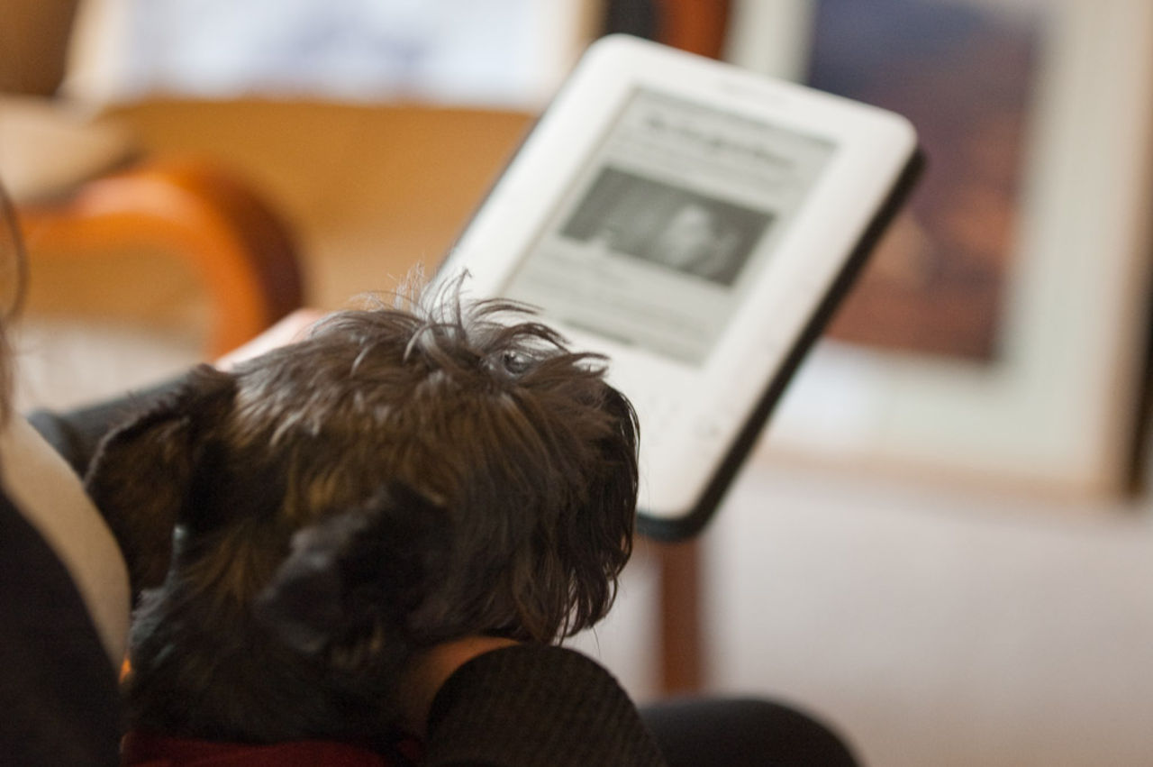 Eböcker kan försämra din sömn