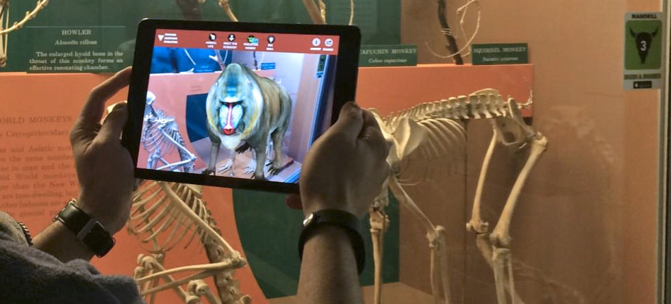 Cool augmented reality-app från Smithsonian Natural History Museum