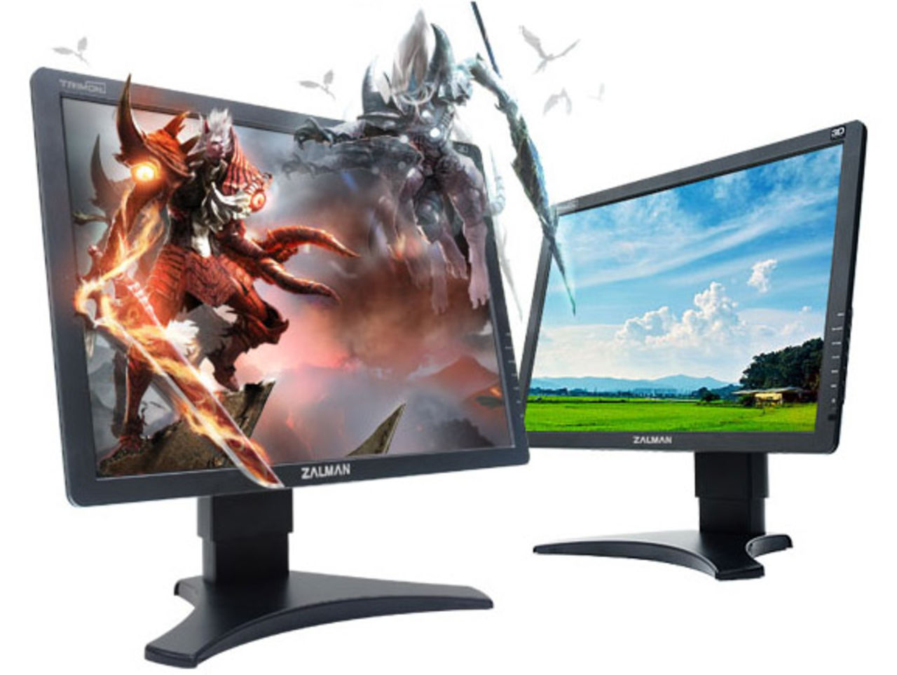 3D-skärm från Zalman