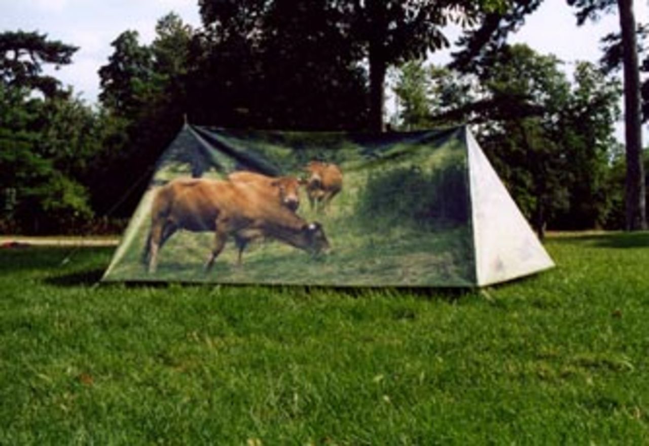 Om jag någonsin tältar igen