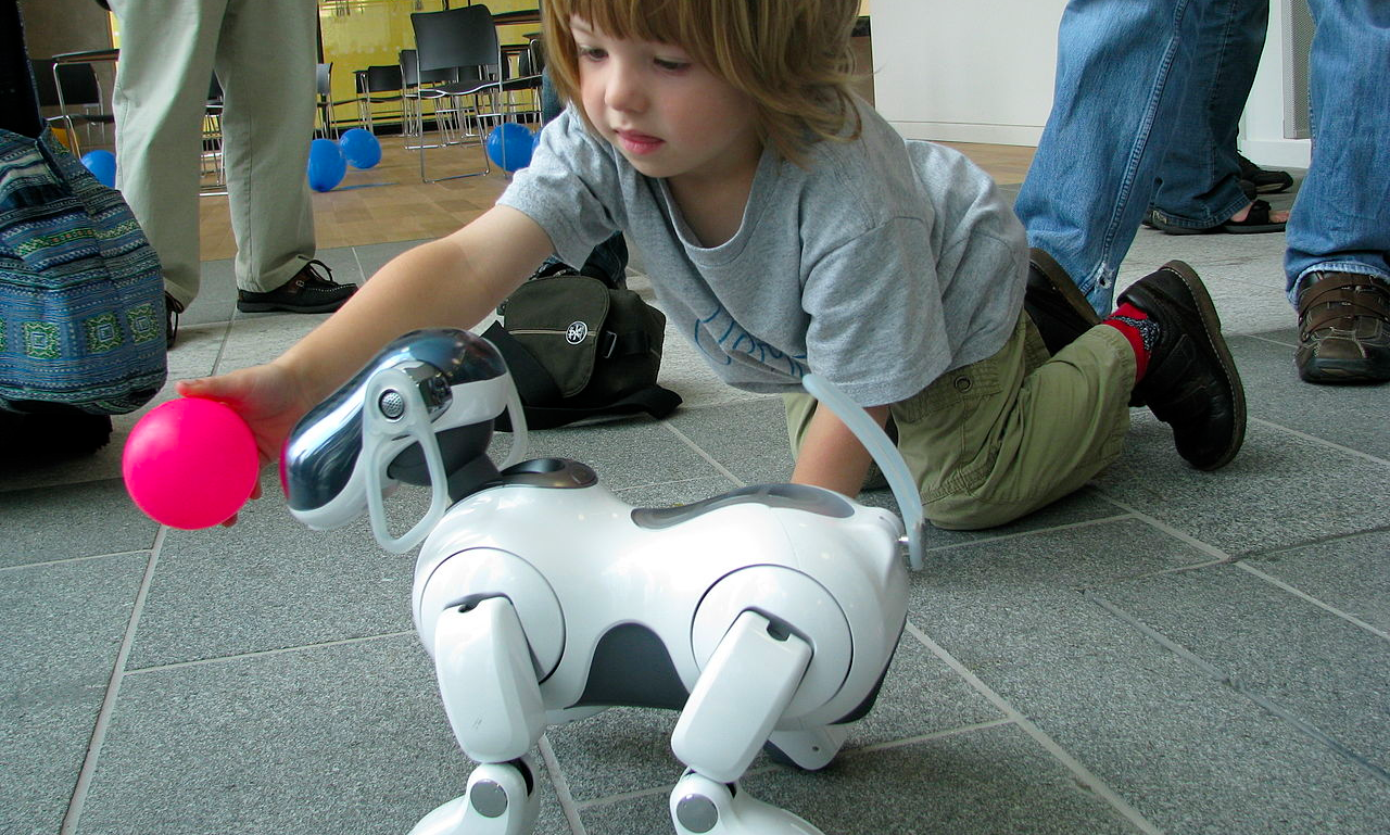 Kyrkogård för robothundar