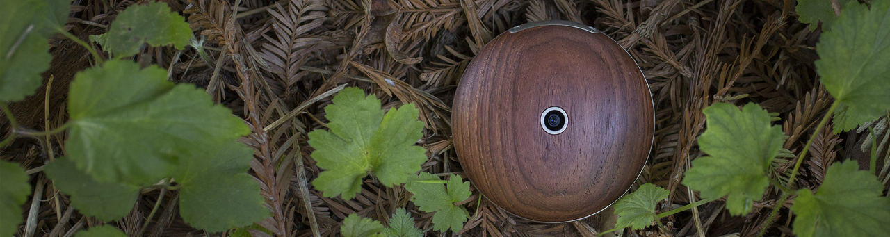 Runcible är en rund mobiltelefon