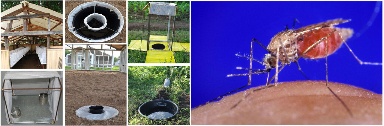 KTH-forskare skapar speciella myggfällor