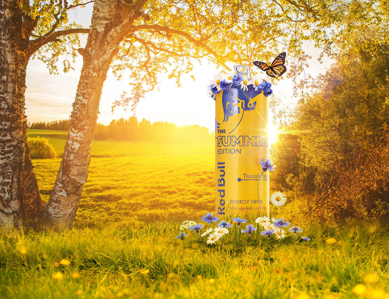 Vi har testat den nya Red Bull-smaken