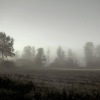 Bild till bildspel