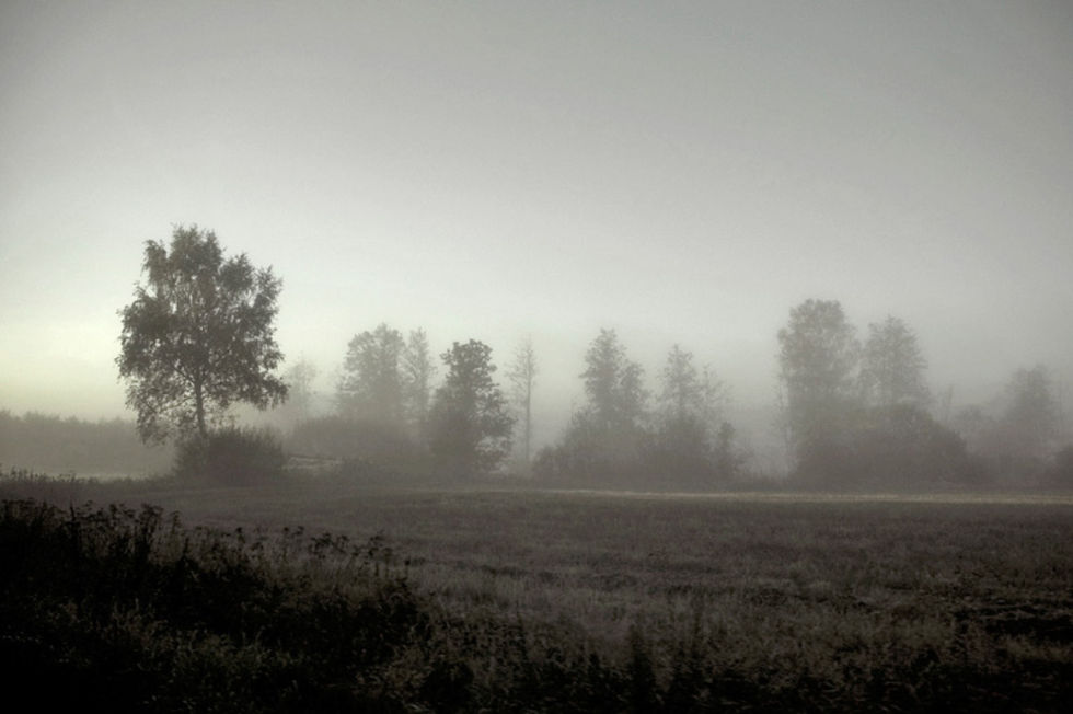 Bild till artikel