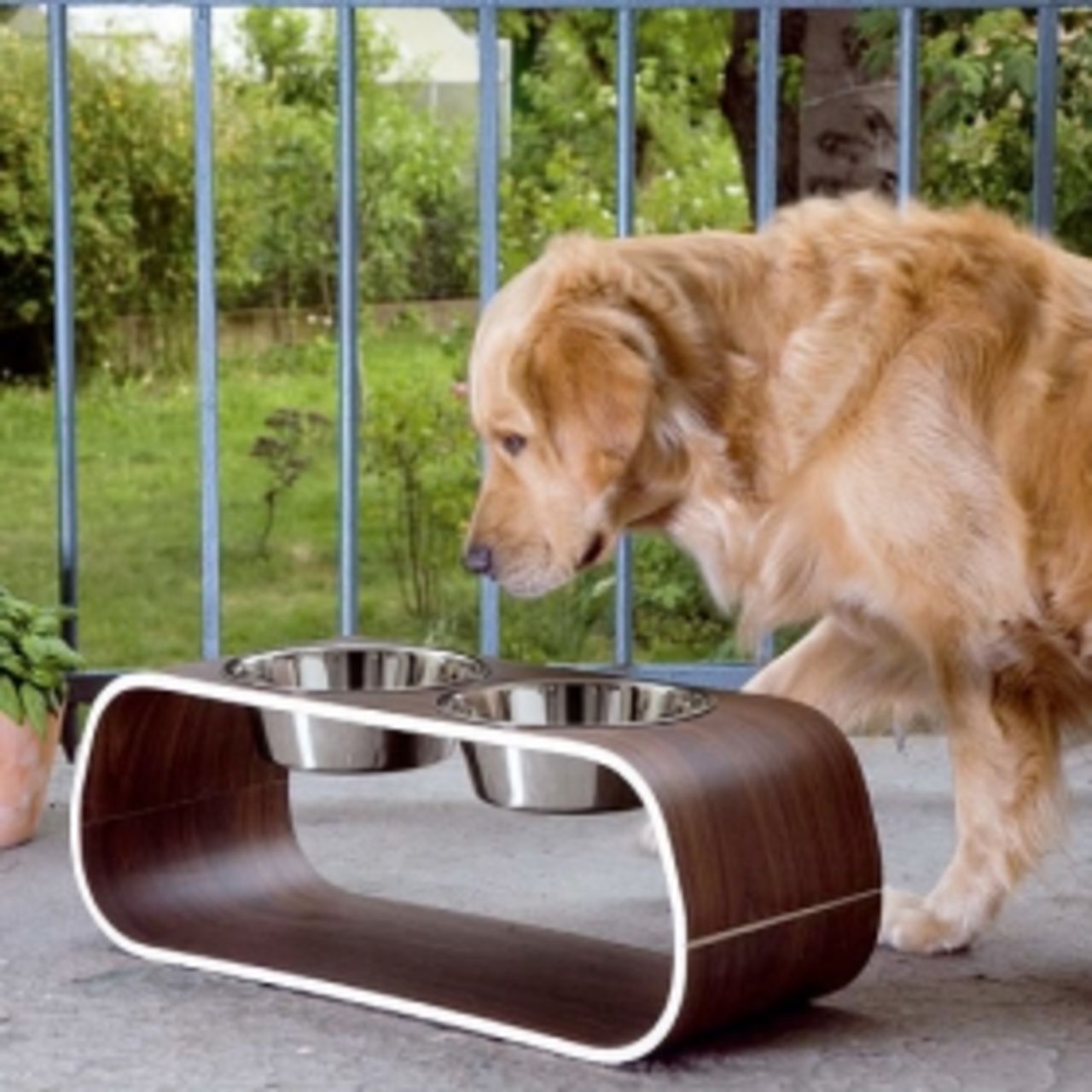 Designpets - mer möbler till djuren