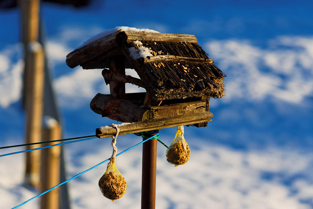 Hemmet farligare än trafiken