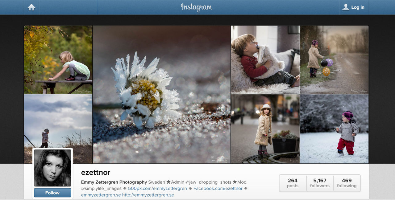 Konstnär tjänar storkovan på stulna Instagrambilder