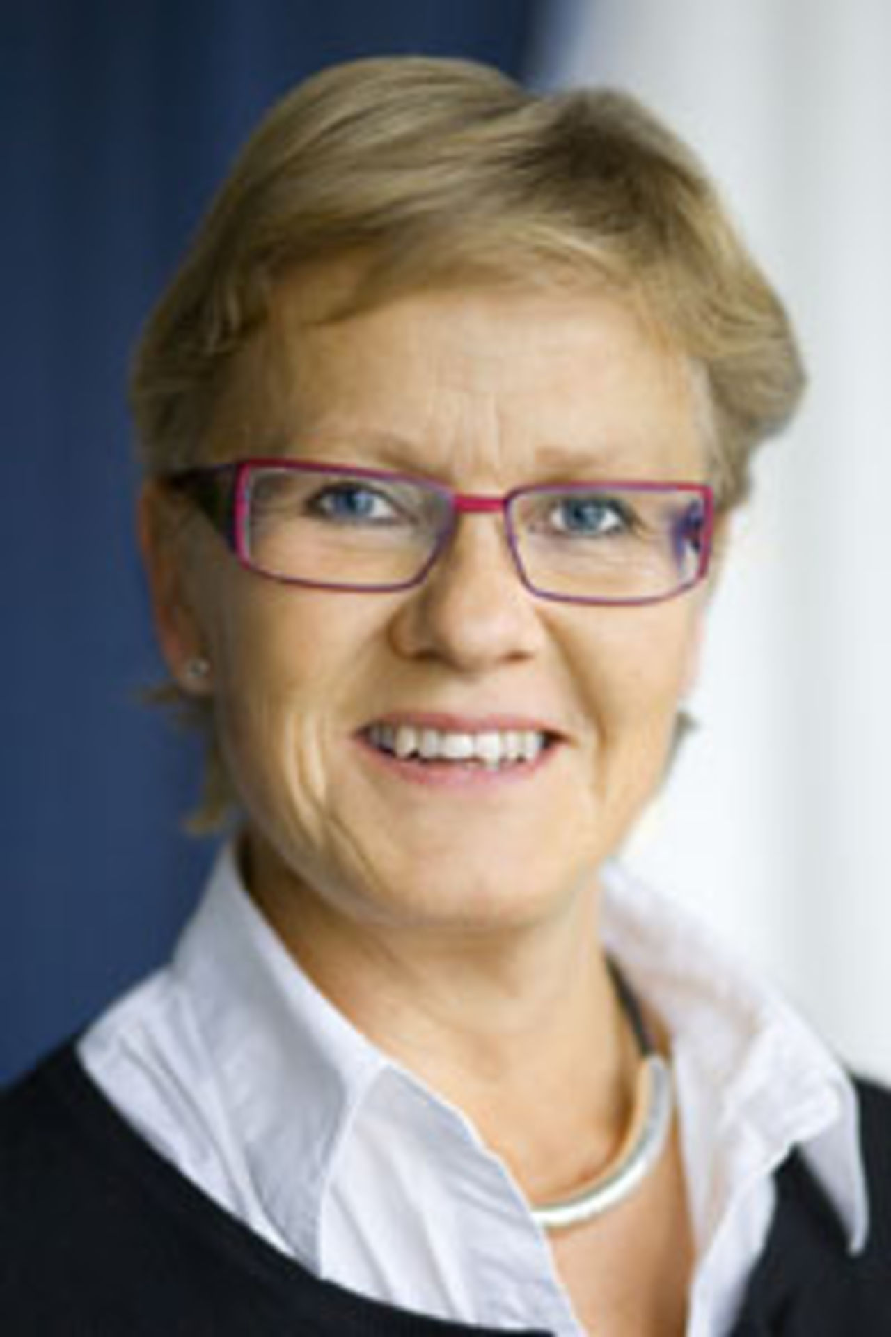 2006 års värsta prylfiaskon