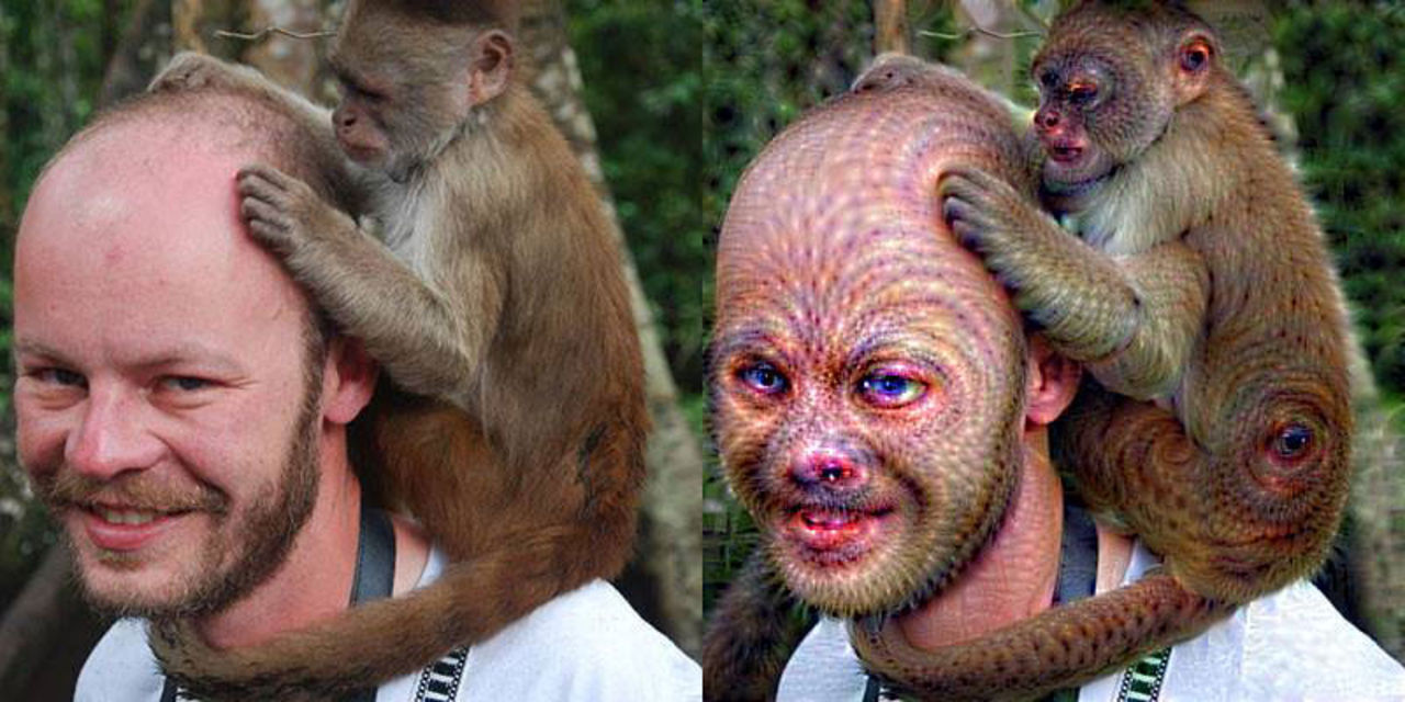 Dreamscope är en webbapp för Deep Dream