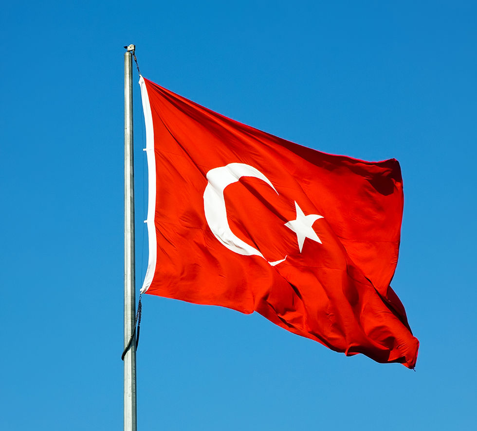VICE-journalister gripna i Turkiet