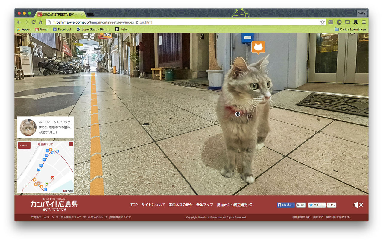 Street View för katter