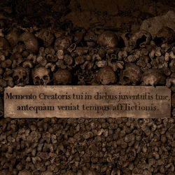 Tumnagel