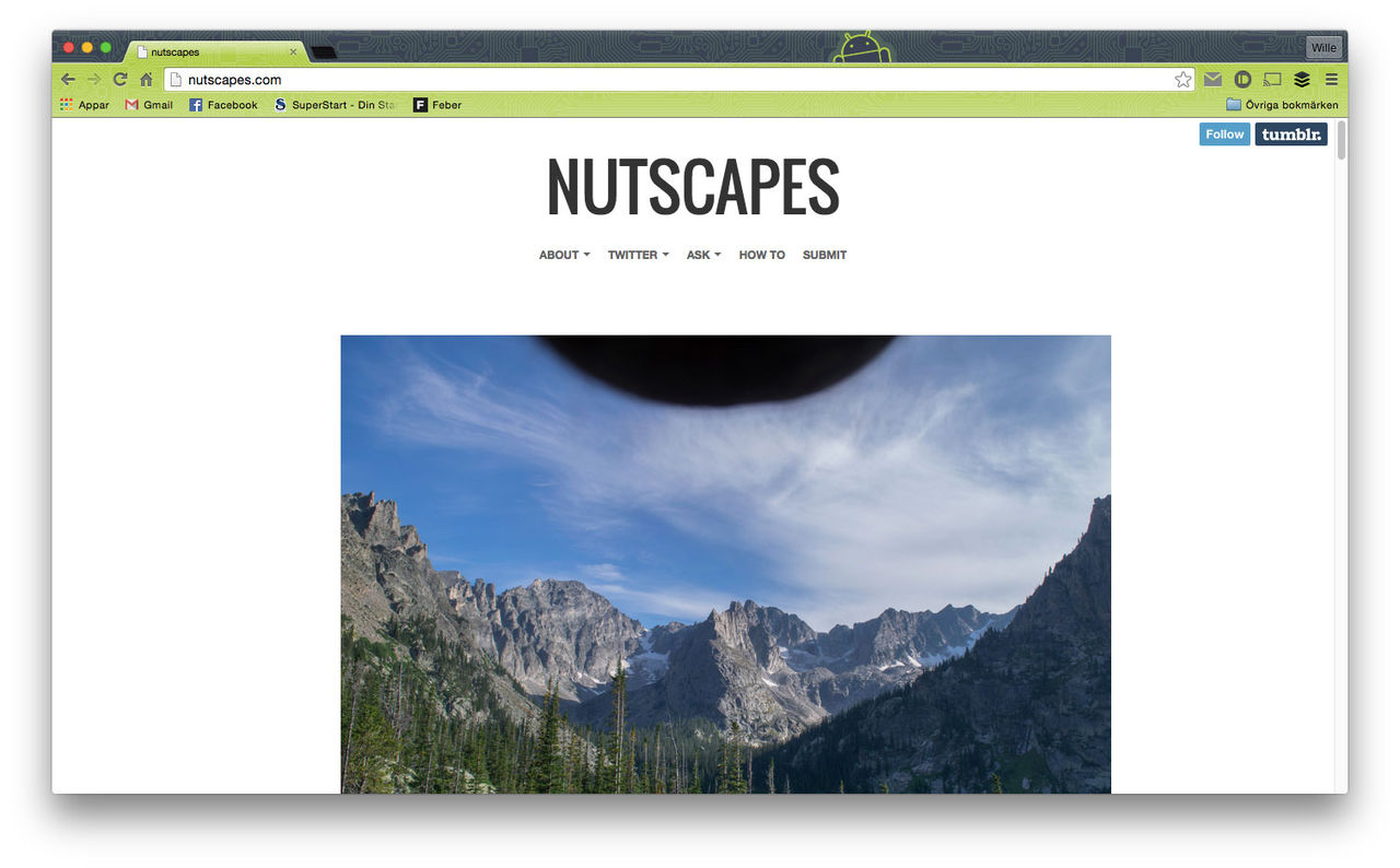 Nutscapes