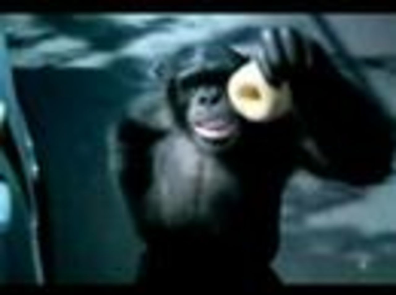 VIDEO: The Trunk Monkey