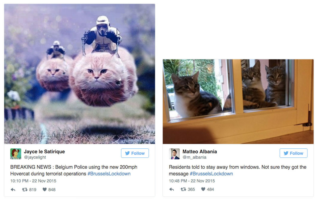 Belgare började twittra katter under antiterrorinsats