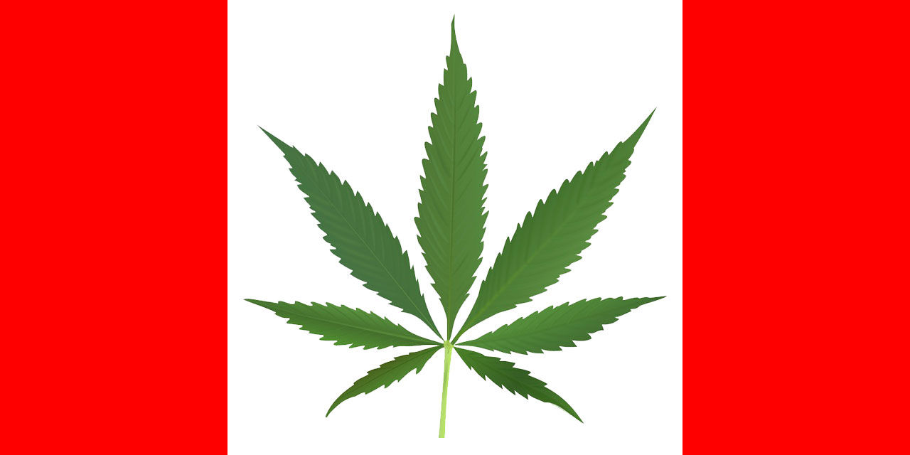 Kanada legaliserar marijuana nästa år