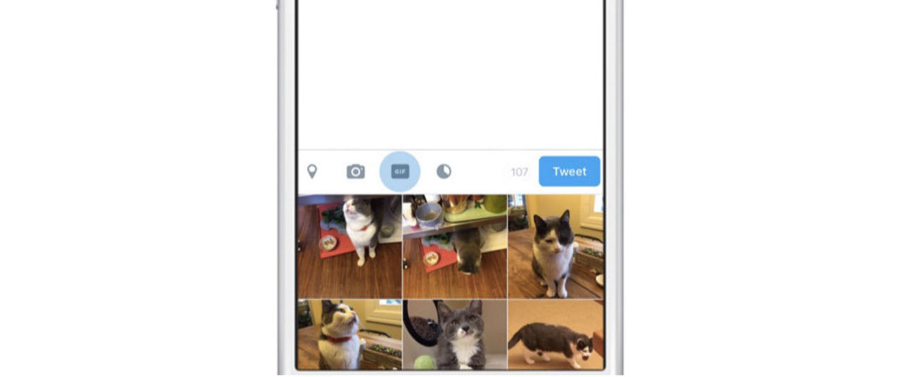 Twitter får en dedikerad knapp för gif-animationer