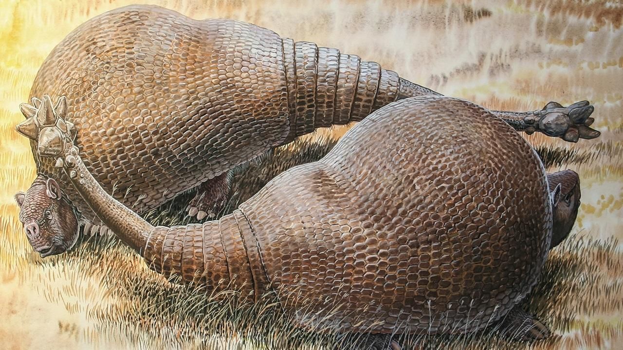 Doedicurus var ett jättelikt bältdjur