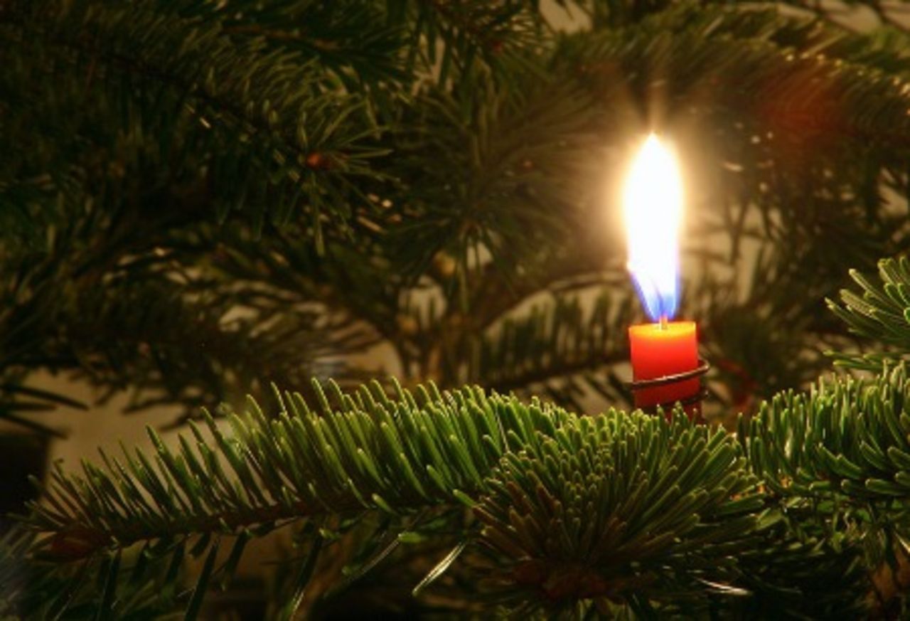 Fotofeber tar jullov!