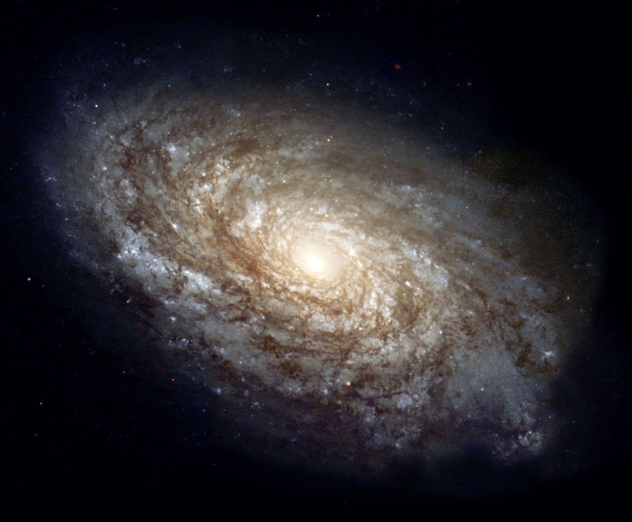 Astronomer upptäcker återupprepade radiovågor från en annan galax