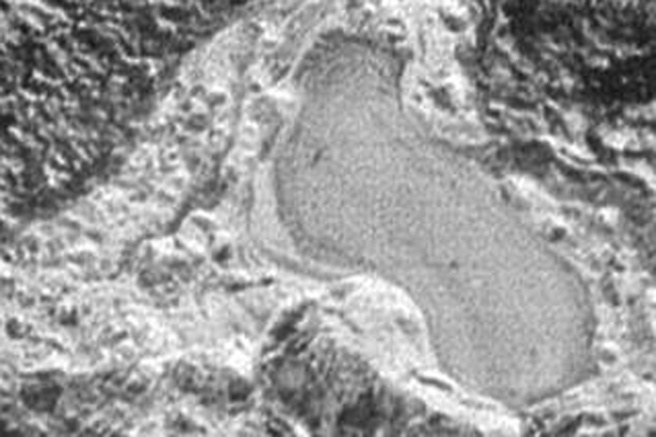 New Horizons har fotat en frusen sjö på Pluto