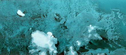 Tumnagel