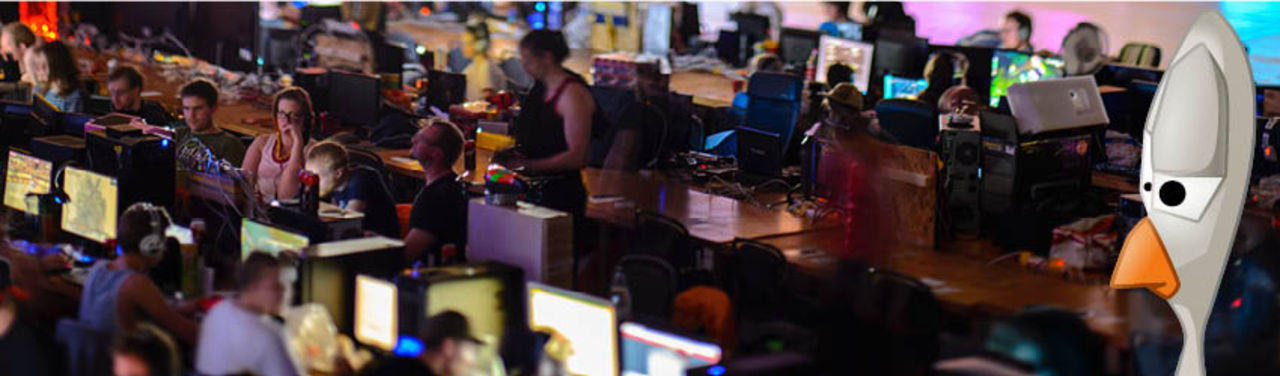 Snart dags för Birdie LAN