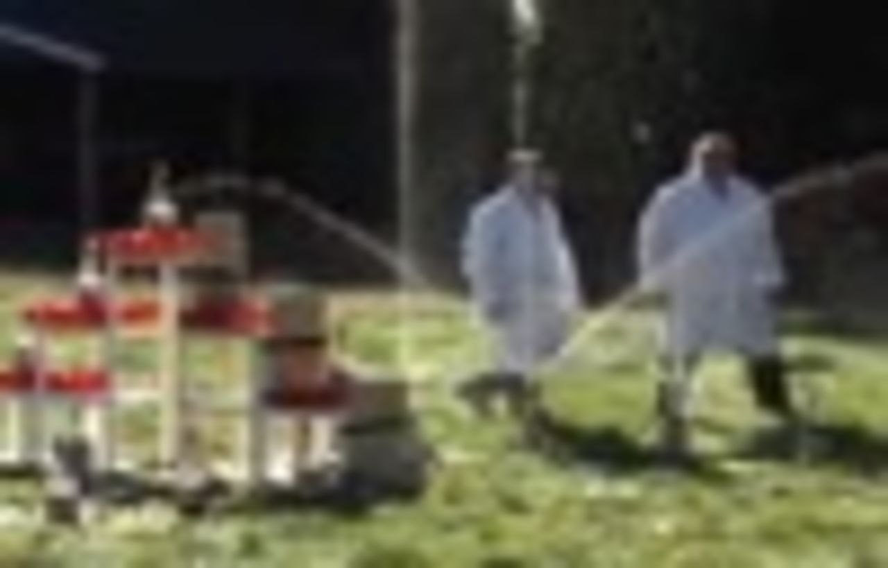 Diet Coke + Mentos = domino