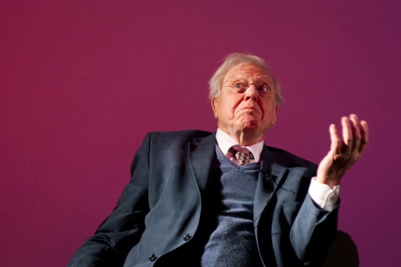 BBC släpper app med Sir David Attenborough