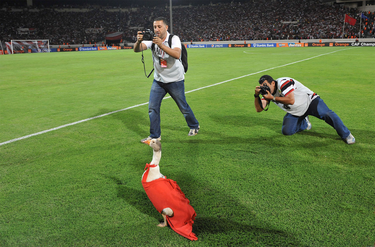 I höst börjar Viasat sända sport i 4K-upplösning