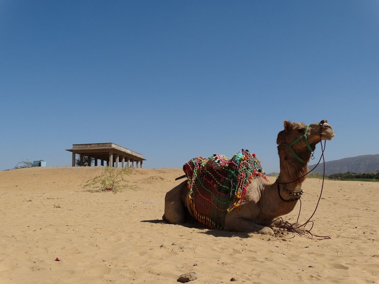 Indien har nu haft sin varmaste dag i historien