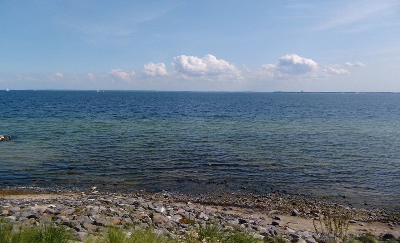 Svensk studie visar att fiskyngel föredrar plast