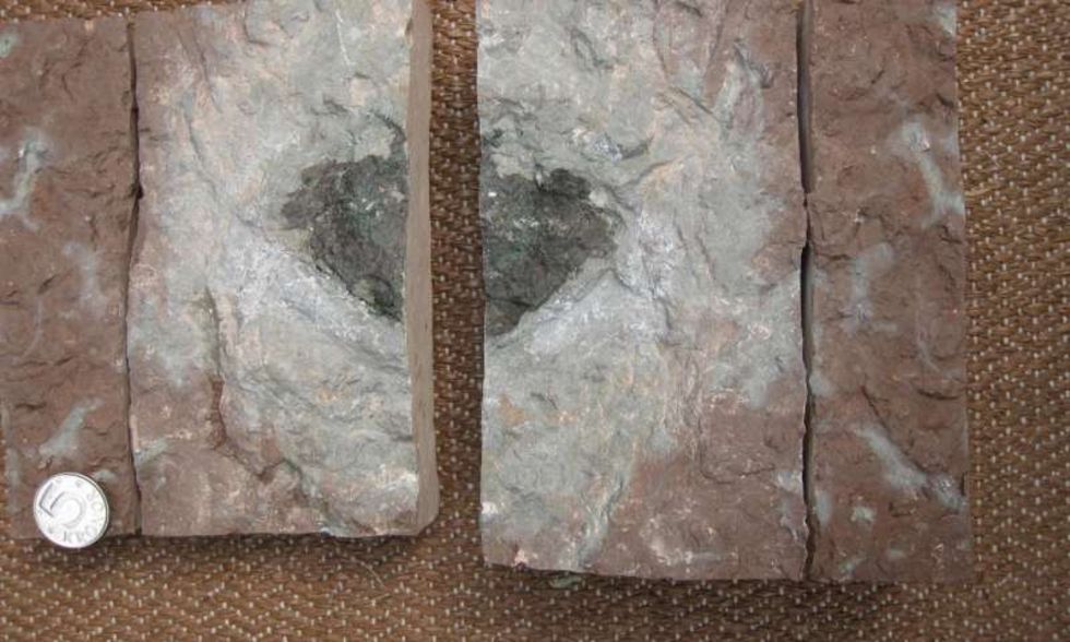 Unik meteorit hittad i svenskt kalkbrott