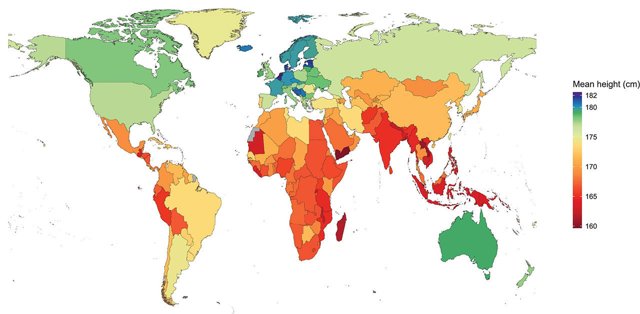 Nederländska män är längst i världen