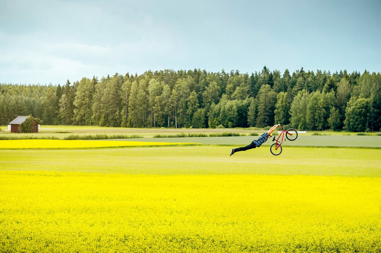 Hopp och lek i rapsfältet