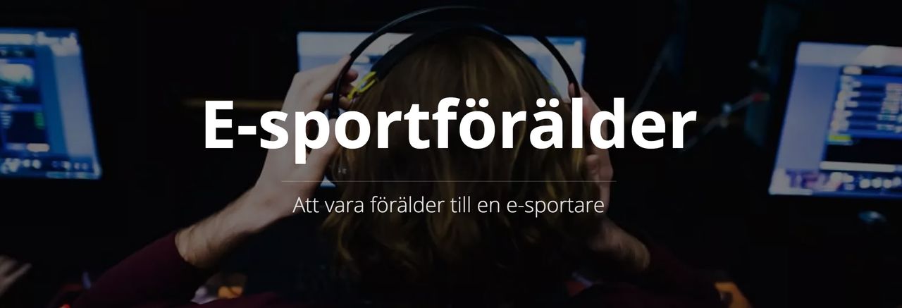 Sverok vill utbilda föräldrar om spel