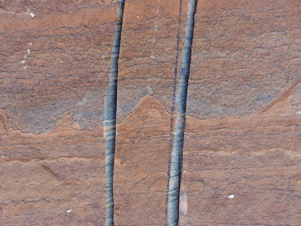 Världens äldsta fossil hittad på Grönland