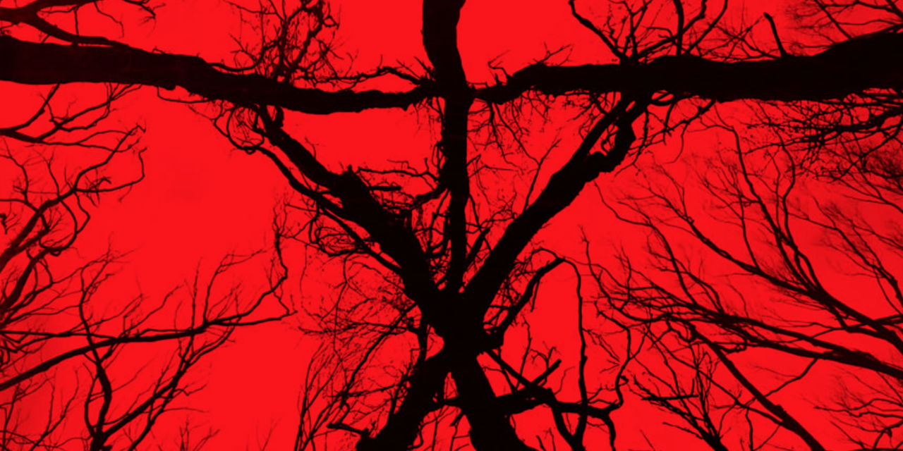 Vi har sett Blair Witch