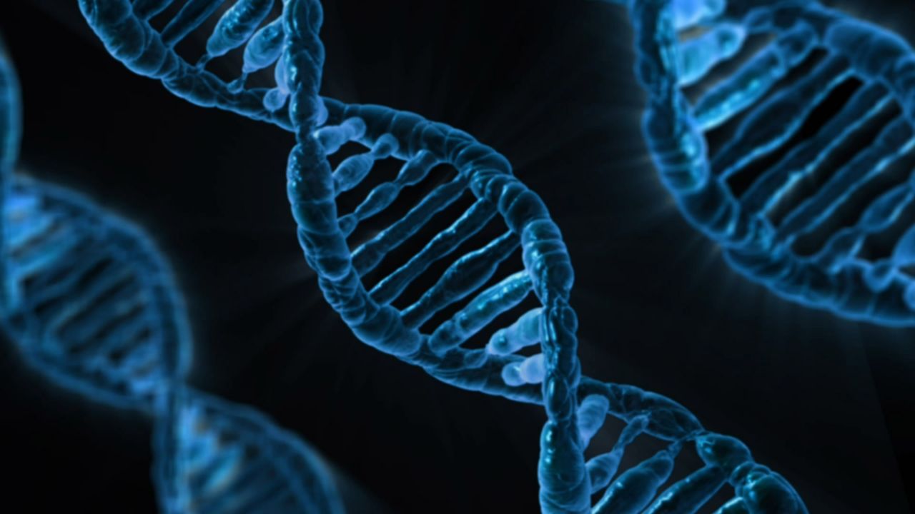 Svensk forskare försöker ändra DNA på mänskliga embryon