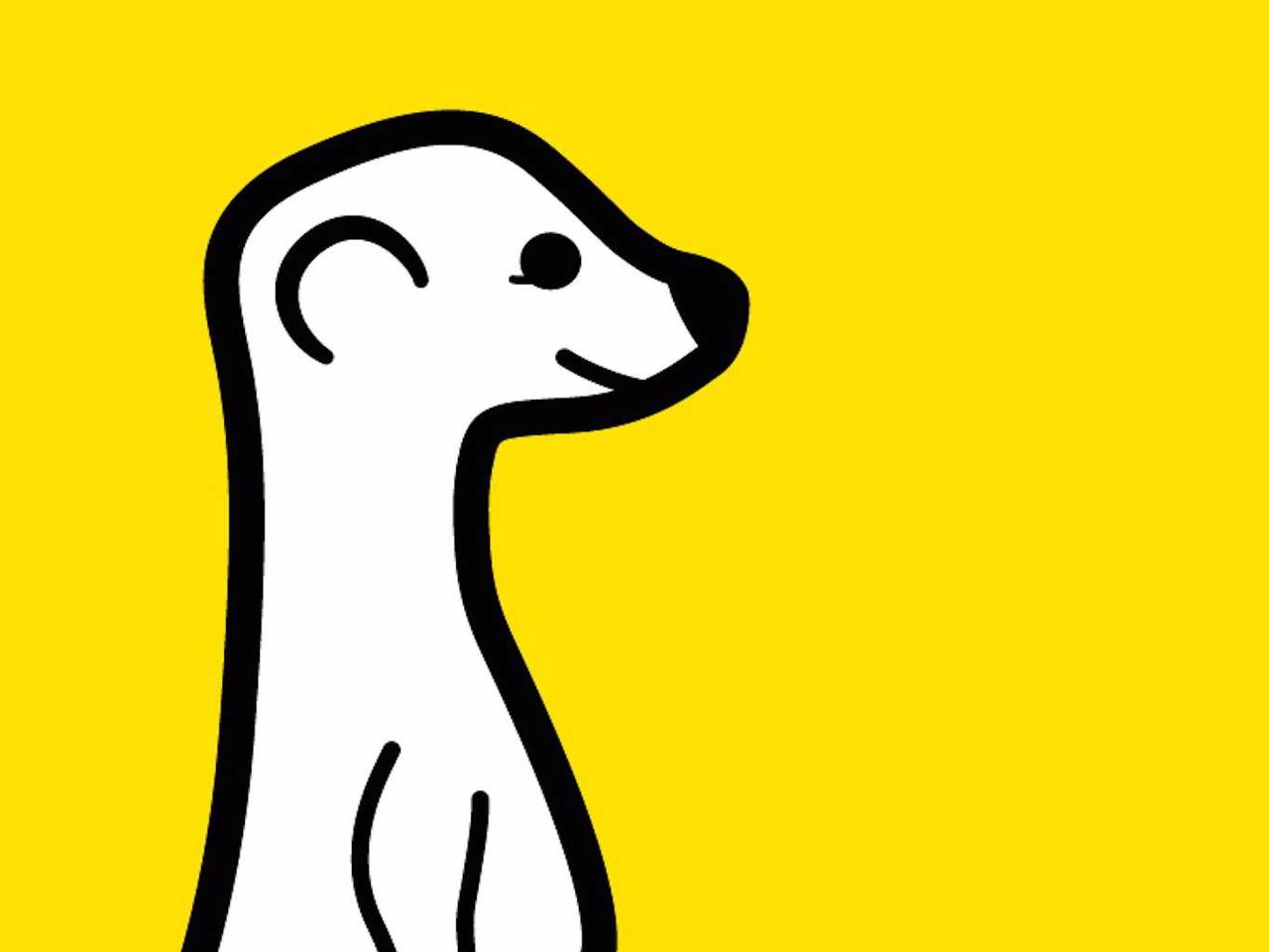 Hejdå Meerkat